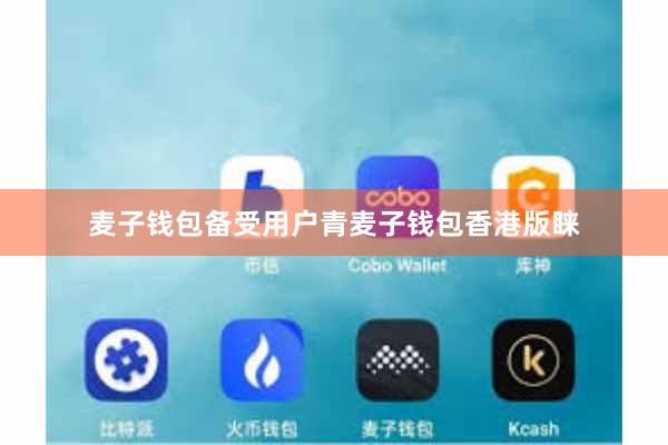 麦子钱包备受用户青麦子钱包香港版睐