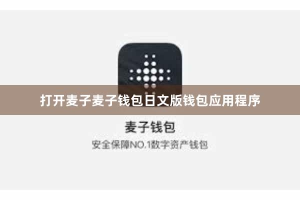 打开麦子麦子钱包日文版钱包应用程序