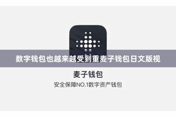 数字钱包也越来越受到重麦子钱包日文版视