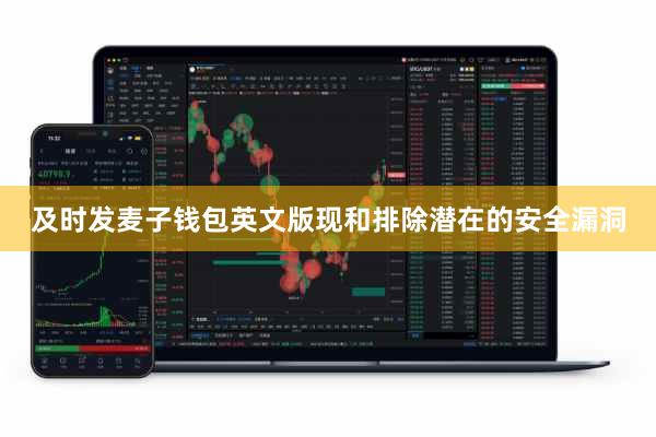 及时发麦子钱包英文版现和排除潜在的安全漏洞