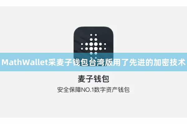 MathWallet采麦子钱包台湾版用了先进的加密技术